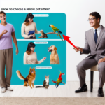 Come scegliere un pet sitter affidabile: le domande da fare e le qualità da valutare